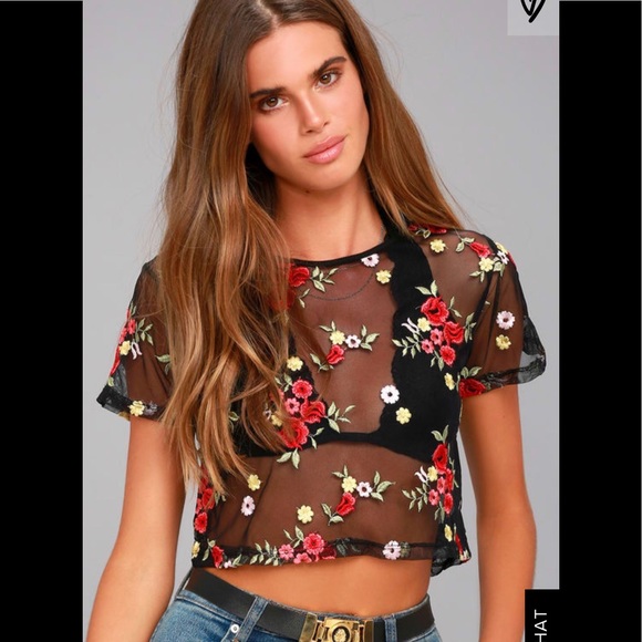 Lulus Tops - Lulus Mesh Embroidered Crop Top BRAND NEW